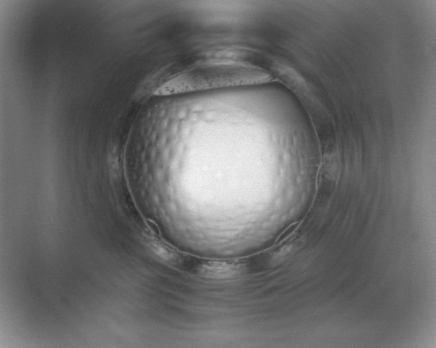 X0000071930381200607212140