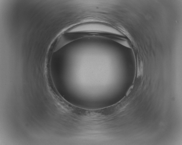 X0000071930387200607212139