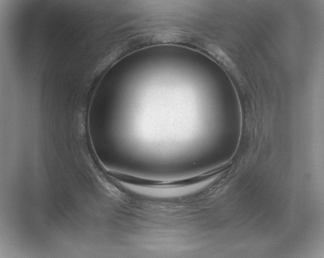 X0000071930393200607212139