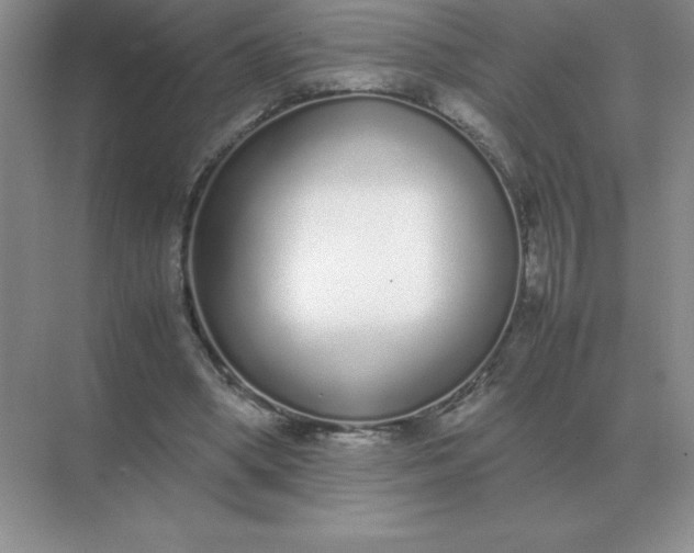 X0000071930394200607212139