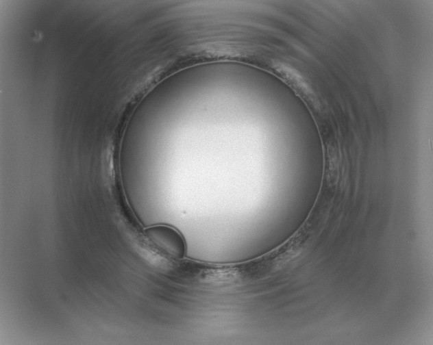 X0000071930398200607212139