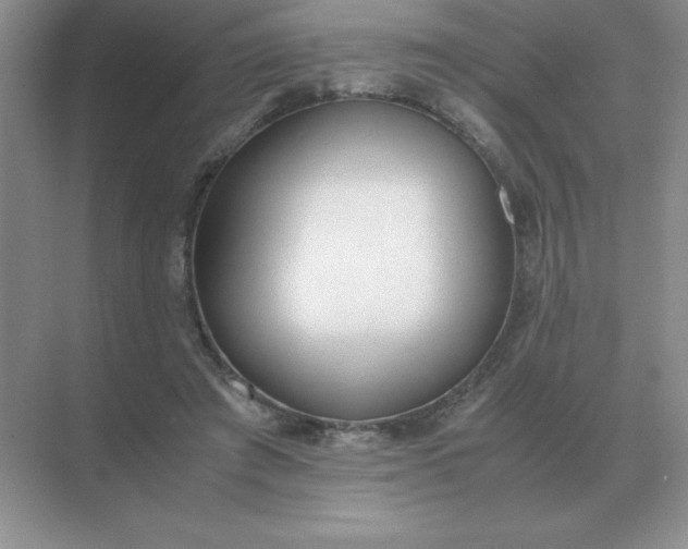 X0000071930401200607212139