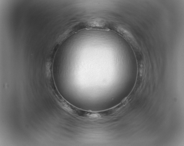 X0000071930409200607212139