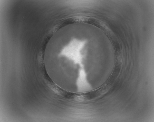 X0000071930411200607212139