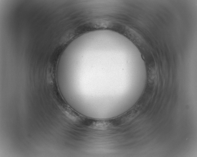 X0000071930414200607212139