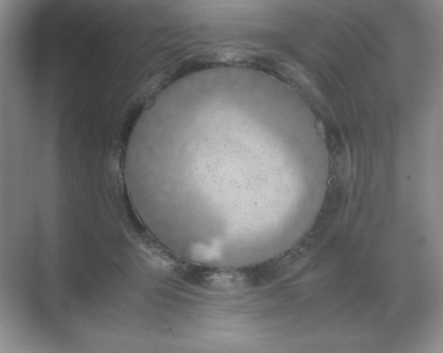 X0000071930415200607212139
