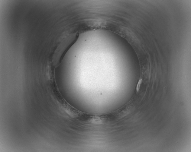 X0000071930416200607212139