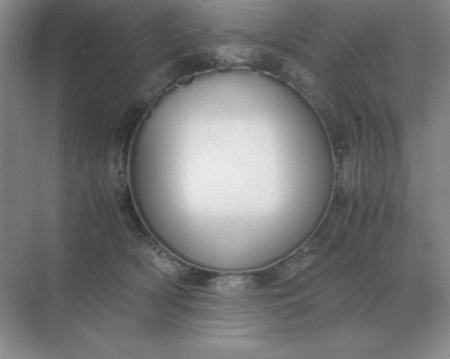 X0000071930418200607212139
