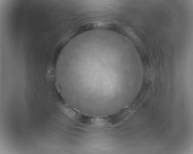 X0000071930419200607212139