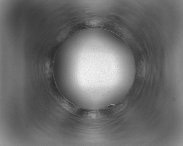 X0000071930420200607212139