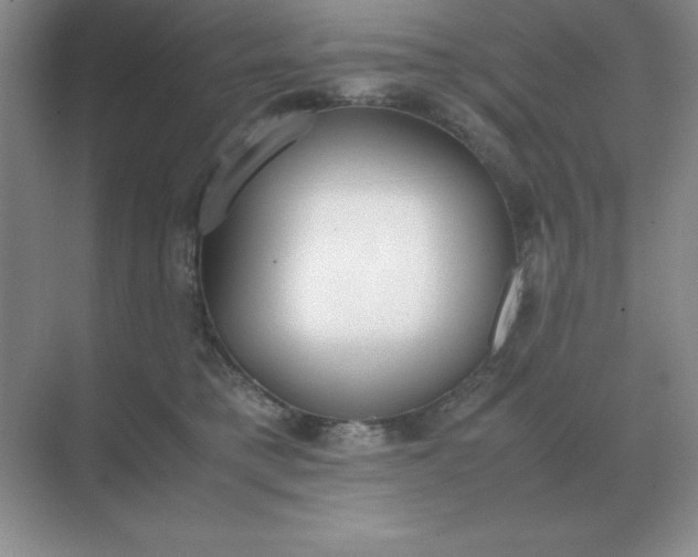 X0000071930421200607212139