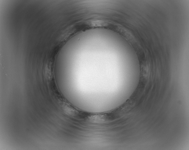 X0000071930422200607212139