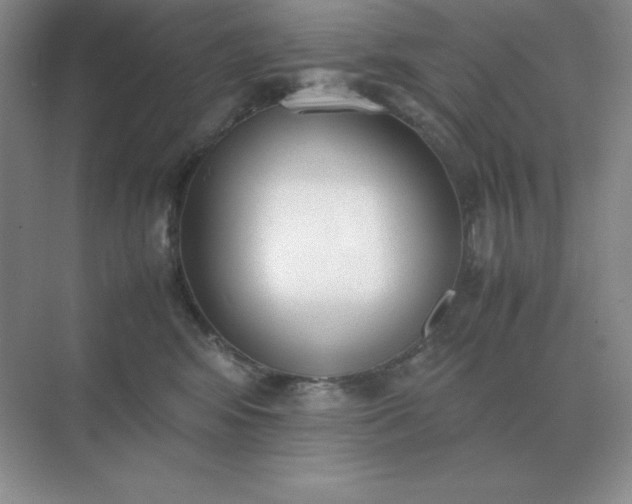 X0000071930424200607212139
