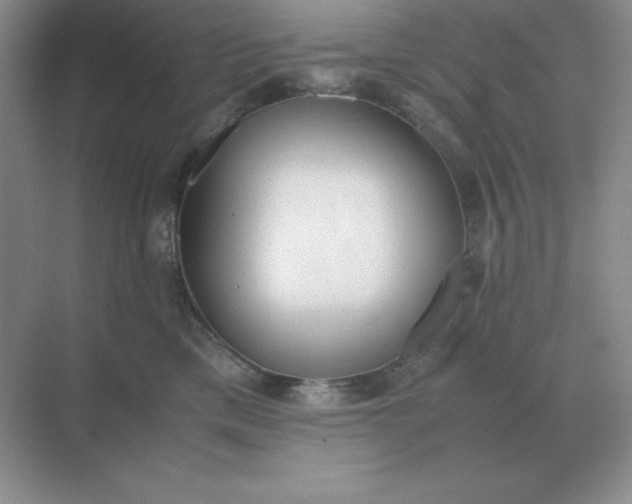 X0000071930425200607212139