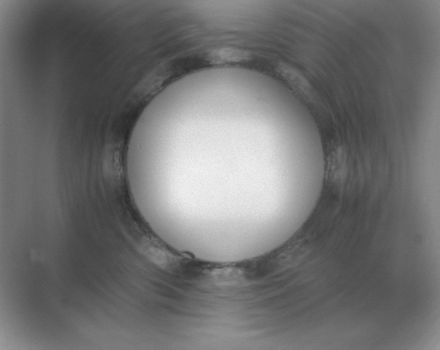 X0000071930426200607212139