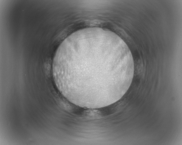 X0000071930427200607212139