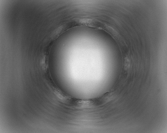 X0000071930428200607212139