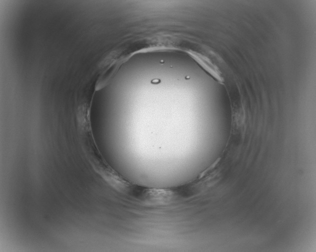 X0000071930429200607212139