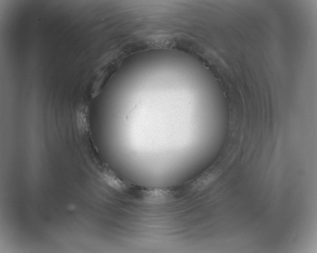 X0000071930432200607212139