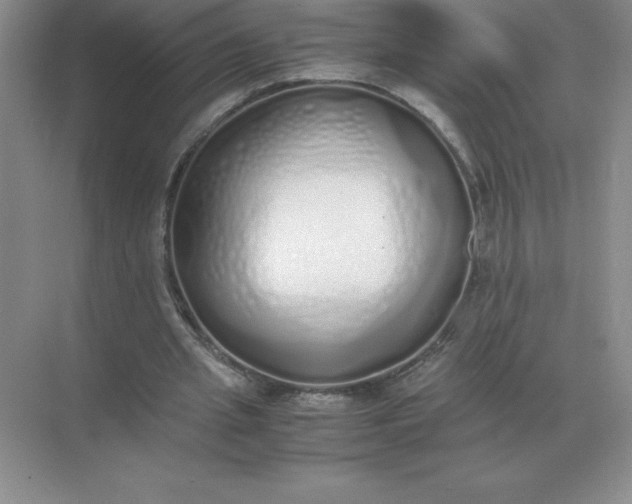 X0000071930437200607212138