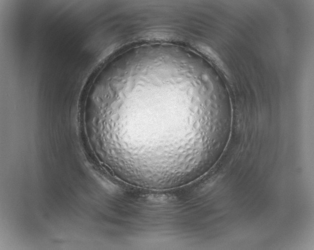 X0000071930439200607212138