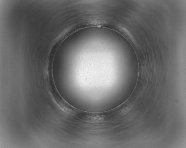 X0000071930443200607212138