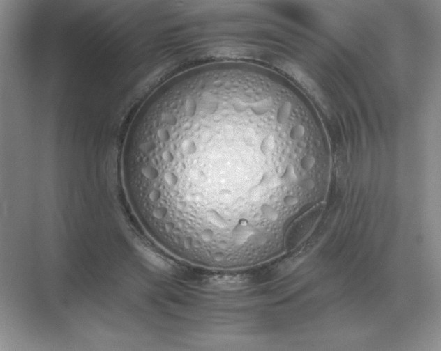 X0000071930445200607212138