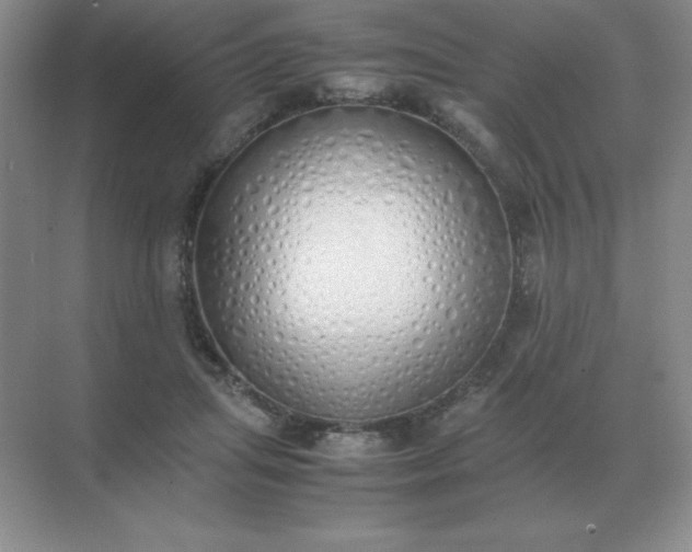 X0000071930455200607212138