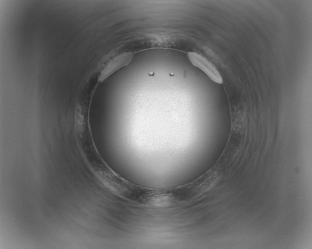 X0000071930456200607212138
