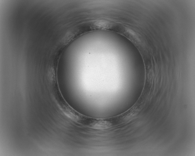 X0000071930459200607212138