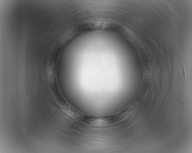 X0000071930460200607212138