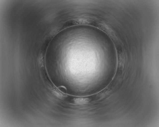 X0000071930465200607212138