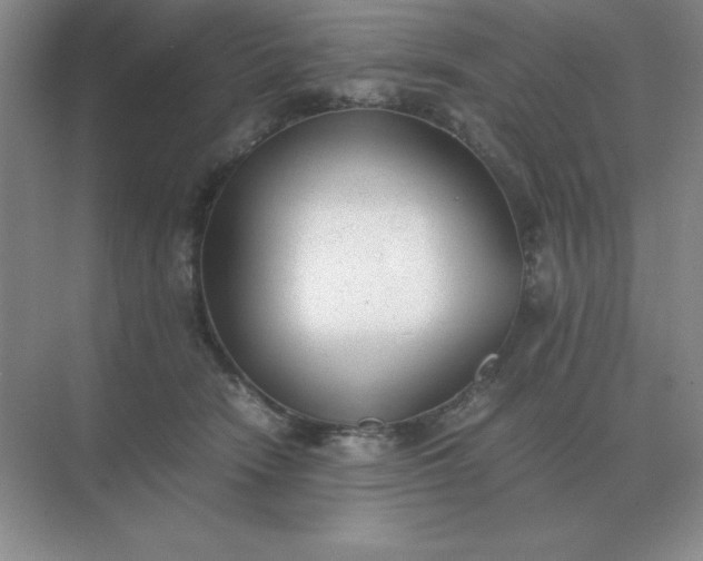 X0000071930466200607212138