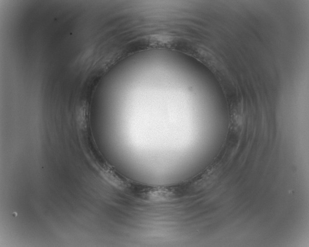 X0000071930468200607212138