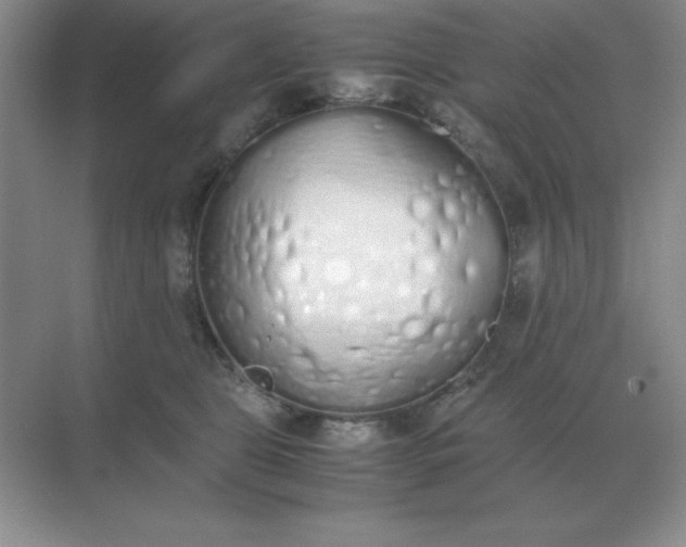X0000071930469200607212138