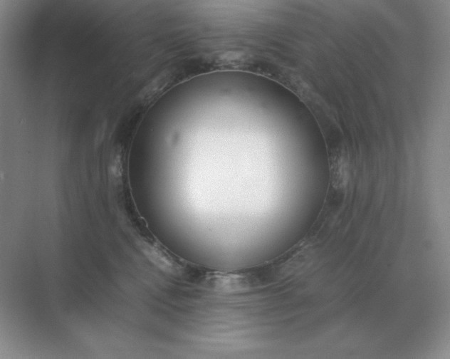 X0000071930472200607212139