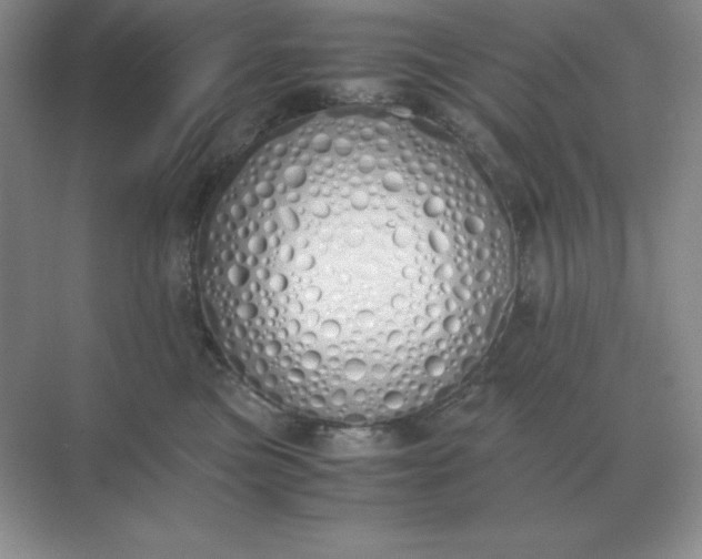 X0000071930473200607212139