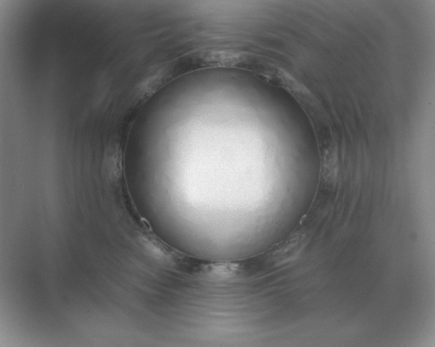 X0000071930474200607212139