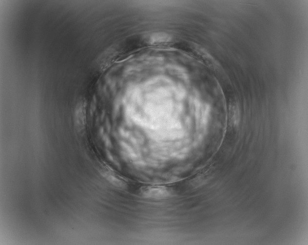 X0000071930475200607212139