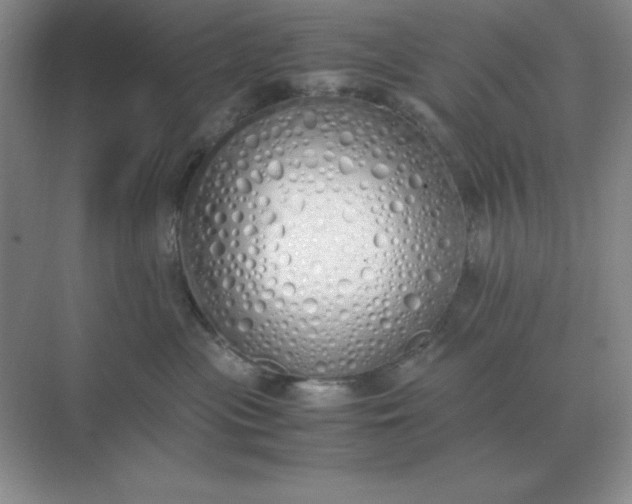 X0000071930477200607212139