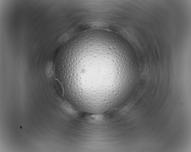 X0000071930478200607212139