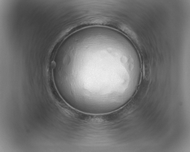 X0000071930483200607212138
