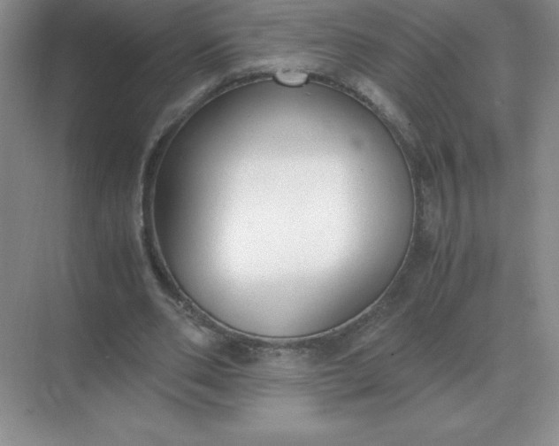 X0000071930486200607212138