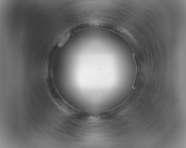 X0000071930496200607212138