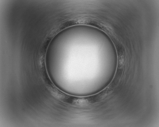 X0000071930503200607212137