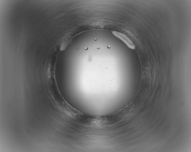 X0000071930504200607212137