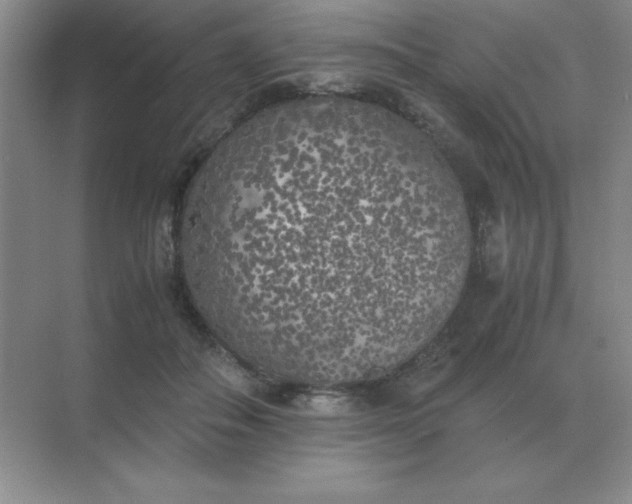 X0000071930506200607212137