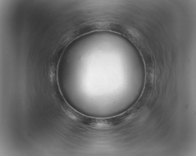 X0000071930507200607212137