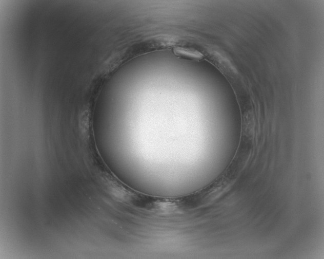 X0000071930509200607212137