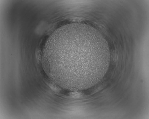 X0000071930511200607212137